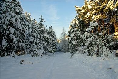 《勇者斗恶龙3》HD-2D版获Switch2版免费升级 支持帧率＆画质模式切换